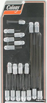 ECLATE I - PIECE N° 70 - KIT VISSERIE DE CARTER PRIMAIRE EXTERNE - TOURING 07/16 - ACORN / CHROME - 2534-19