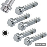 VIS TETE ALLEN / BTR - 1/4-20 X 13.00MM / 1/2" - 12 POINTS - CHROME - LE PAQUET 5 PIECES