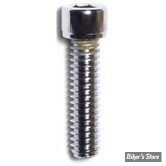 VIS TETE ALLEN / BTR - 1/4-20 X 25.40MM / 1" - CHROME