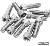 VIS TETE ALLEN / BTR - METRIQUE - M6 x 20MM - CHROME - LES 10 PIECES