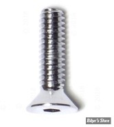 VIS TETE FRAISEE 5/16-18 X 25.40MM / 1" - ALLEN - CHROME 