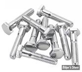 VIS TETE HEXAGONALE - 1/4"-20 X 31.75MM / 1 1/4" - CHROME - LE PAQUET DE 10 PIECES