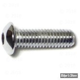 VIS TETE BOMBEE 1/4"-20 X 25.40MM / 1" - ALLEN - CHROME