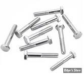 VIS TETE HEXAGONALE - 1/4"-28 X 38.00MM / 1 1/2" - CHROME - LE PAQUET DE 10 PIECES