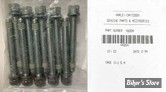 VIS TETE ALLEN / BTR - 1/4-20 X 51MM / 3/8" - OEM 4820A - LES 10 PIECES