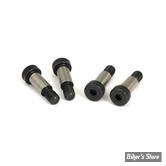 KIT D'EMBRAYAGE COMPETITOR CLUTCH KIT - BALLS - BDL BIGTWIN 98/06 : KIT DE VIS - 