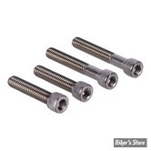 VISSERIE DE PLATINE DE RISERS - OEM 4326A / 4816A - 5/16-18 x 1 1/2" + 5/16-18 x 2" UNC - SCREWS4BIKES - INOX POLI - LK.HD.4.va