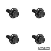 - KIT VISSERIE DE PARE BRISE - TOURING FLHX 2024UP - ARLEN NESS - TITANIUM 12-POINT WINDSHIELD BOLTS FOR STREET GLIDE - NOIR - 300-840