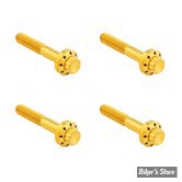 ECLATE O - PIECE N° 07 - KIT VIS DE FIXATION DE GARDE BOUE - OEM 3462 - ARLEN NESS - TITANIUM 12-POINT FRONT FENDER BOLTS - GOLD - 300-820