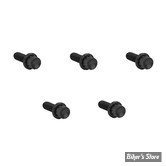 ECLATE I - PIECE N° 02 - VISSERIE DE TRAPPE D'EMBRAYAGE - 1/4-20 X 5/8 - OEM 943 / 1062 - SOFTAIL 18UP - ARLEN NESS - KIT DE VIS 12 POINTS TITANE - NOIR - 300-924