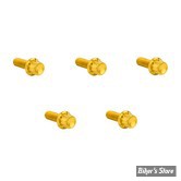 ECLATE I - PIECE N° 02 - VISSERIE DE TRAPPE D'EMBRAYAGE - 1/4-20 X 5/8 - OEM 943 / 1062 - SOFTAIL 18UP - ARLEN NESS - KIT DE VIS 12 POINTS TITANE - GOLD - 300-925