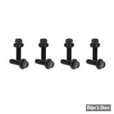 ECLATE H - PIECE N° 20 - VISSERIE D'EMBASE DE POUSSOIRS - TWINCAM 99UP / XL 04UP / XR1200 - OEM 4741A - ARLEN NESS - KIT DE VIS 12 POINTS TITANE - NOIR - 300-936