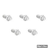 ECLATE I - PIECE N° 02 - VISSERIE DE TRAPPE D'EMBRAYAGE - OEM 943 / 1062 - ARLEN NESS - KIT DE VIS 12 POINTS TITANE - POLI - 300-938