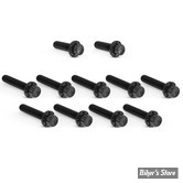 ECLATE I - PIECE N°35 - VISSERIE DE CARTER DE DISTRIBUTION - MILWAUKEE EIGHT 2023UP - OEM 4740A / 4015 - ARLEN NESS - KIT DE VIS 12 POINTS TITANE - NOIR - 300-981