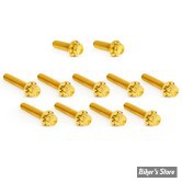 ECLATE I - PIECE N°35 - VISSERIE DE CARTER DE DISTRIBUTION - MILWAUKEE EIGHT 2023UP - OEM 4740A / 4015 - ARLEN NESS - KIT DE VIS 12 POINTS TITANE - GOLD - 300-982