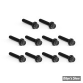 ECLATE I - PIECE N°46 - VISSERIE DE CARTER DE DISTRIBUTION - TWIN CAM 99UP - OEM 4740A / - ARLEN NESS - KIT DE VIS 12 POINTS TITANE - NOIR - 300-987