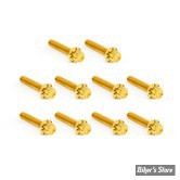 ECLATE I - PIECE N°46 - VISSERIE DE CARTER DE DISTRIBUTION - TWIN CAM 99UP - OEM 4740A / - ARLEN NESS - KIT DE VIS 12 POINTS TITANE - GOLD - 300-989