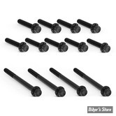 ECLATE I - PIECE N° 70 - KIT VISSERIE DE CARTER PRIMAIRE EXTERNE - TWINCAM 99/17 - ARLEN NESS - 12 POINTS -  TITANIUM - NOIR