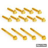 ECLATE I - PIECE N° 70 - KIT VISSERIE DE CARTER PRIMAIRE EXTERNE - TWINCAM 99/17 - ARLEN NESS - 12 POINTS - TITANIUM - GOLD