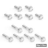 ECLATE D - PIECE N° 21 - VISSERIE DE CACHES CULBUTEURS - TWINCAM 99/17 - OEM 3692A / 3693A - ARLEN NESS  - KIT DE VIS TITANE À 12 POINTS - POLI - 300-992