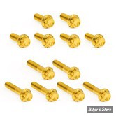 ECLATE D - PIECE N° 21 - VISSERIE DE CACHES CULBUTEURS - TWINCAM 99/17 - OEM 3692A / 3693A - ARLEN NESS  - KIT DE VIS TITANE À 12 POINTS - GOLD - 300-994