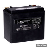 BATTERIE - 65991-82B / 66000209- MCS - AGM BATTERY - 12V - 22AH - 325CCA