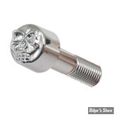 Bouchon de vis allen 1/4" / CLEF ALLEN DE 3/16" - SKULL - LES 10