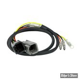 FAISCEAU - LEGEND SUSPENSIONS - 112-1219