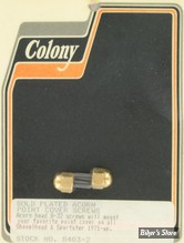 ECLATE R - PIECE N° 05 - VISSERIE DE CACHE ALLUMAGE - BT79/99 / XL71/03 - OEM 1601 - COLONY - ACORN / DORE - 8403-2