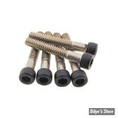 VISSERIE DE TRAPPE DE RESERVOIR - SPORTSTER RH1250S - OEM 10201318 - SCREWS4BIKES - INOX / BTR NOIR