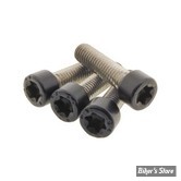 VISSERIE DE PLATINE DE RISERS - OEM 10201022 - TORX M8 X 30 - SCREWS4BIKES - NOIR MAT - LK.HD.6.swm