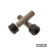 VIS D'EMBOUTS DE GUIDON - SPORTSTER RH1250S / RH975T - OEM 10201022 -  SCREWS4BIKES - INOX / NOIR MAT