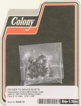 ECLATE O - PIECE N° 16 - KIT RIVETS - OEM 8521  / 0315 - COLONY - 3499-10