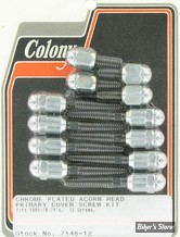 ECLATE I - PIECE N° 70 - KIT VISSERIE DE CARTER PRIMAIRE EXTERNE - BIG TWIN 65/69 - OEM 1354 / 2345 - ACORN / CHROME - 7146-12