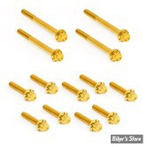 ECLATE I - PIECE N° 03 / 17 - KIT VISSERIE DE CARTER PRIMAIRE EXTERNE - TOURING M8 17UP - 12 POINTS - TITANIUM - GOLD - 300-928