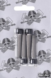 VISSERIE DE PLATINE DE RISERS - BIGTWIN 89UP - SCREWS4BIKES - INOX / NOIR BRILLANT - LK.HD.5.sw