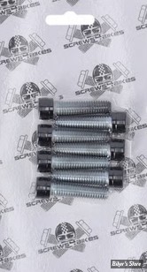 ECLATE N - PIECE N° 20 - KIT VISSERIE DE TES DE FOURCHE - OEM 4352 - SPORTSTER 04/20 - SCREWS4BIKES - NOIR BRILLANT - 6 VIS - GK.HD.5.sw