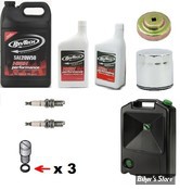 KIT HUILE MINÉRALE - KIT VIDANGES - TWINCAM MASTER - CHROME - BAC
