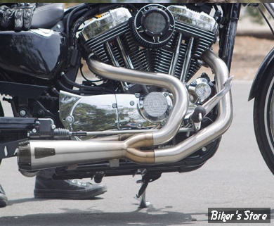 ECHAPPEMENT - TWO BROTHERS RACING - SPORTSTER 04/13 - COMP-S 2-1 - ACIER INOX / EMBOUT : CARBONE - 005-4110199-753131
