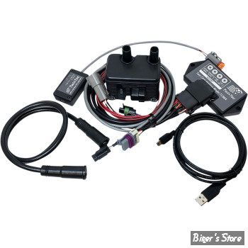 ECLATE R - PIECE N° 09 - TWINCAM - MODULE D'ALLUMAGE 1009 + BOBINE + FILS DE BOUGIES - DAYTONA TWIN TEC - TwinCam 04/06 - 30881