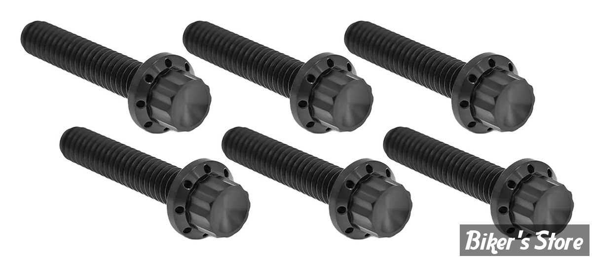 DOC A / PIÈCE N°102 - KIT VISSERIE DE CARTER LATERAL BOITE - TWINCAM 99/17 - ARLEN NESS - KIT VIS TITANE 12 POINTS - 12 POINTS - NOIR - 300-704