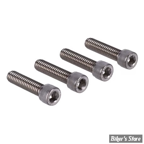 VISSERIE DE PLATINE DE RISERS - OEM 3210A - 5/16-18 x 1 1/4" UNC - SCREWS4BIKES - INOX POLI - LK.HD.3.va