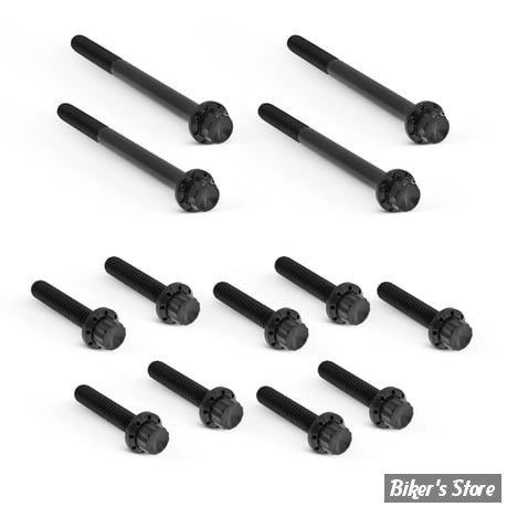 ECLATE I - PIECE N° 03 / 17 - KIT VISSERIE DE CARTER PRIMAIRE EXTERNE - TOURING M8 17UP - 12 POINTS - TITANIUM - NOIR - 300-927