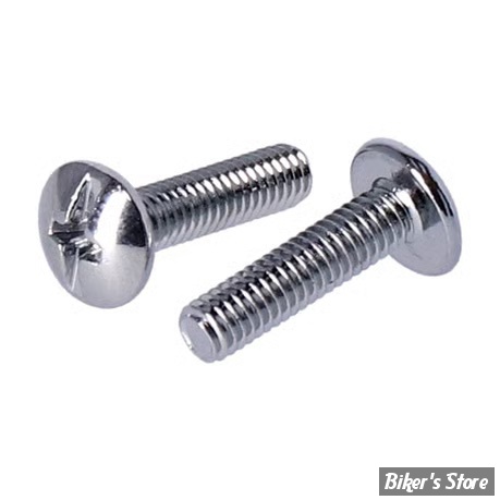 ECLATE J - PIECE N° 02 - VIS DE COUVERCLE DE M/CYL - OEM 42858-06 / 42858-06A - CHROME - LA PAIRE