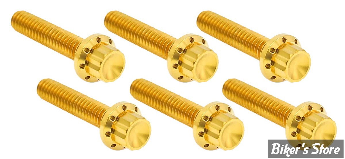 DOC A / PIÈCE N°102 - KIT VISSERIE DE CARTER LATERAL BOITE - TWINCAM 99/17 - ARLEN NESS - KIT VIS TITANE 12 POINTS - 12 POINTS - OR - 300-705