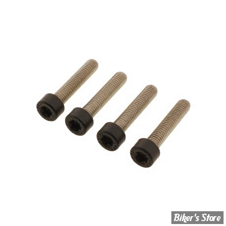 ECLATE O - PIECE N° 04B - KIT VISSERIE DE GARDE BOUE AVANT - OEM 10200071 - SPORTSTER RH975 - SCREWS4BIKES - NOIR MAT - FF.HD.10.swm