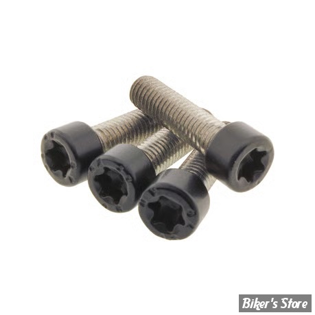 VISSERIE DE PLATINE DE RISERS - OEM 10201022 - TORX M8 X 30 - SCREWS4BIKES - NOIR MAT - LK.HD.6.swm
