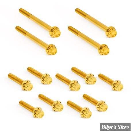 ECLATE I - PIECE N° 03 / 17 - KIT VISSERIE DE CARTER PRIMAIRE EXTERNE - TOURING M8 17UP - 12 POINTS - TITANIUM - GOLD - 300-928