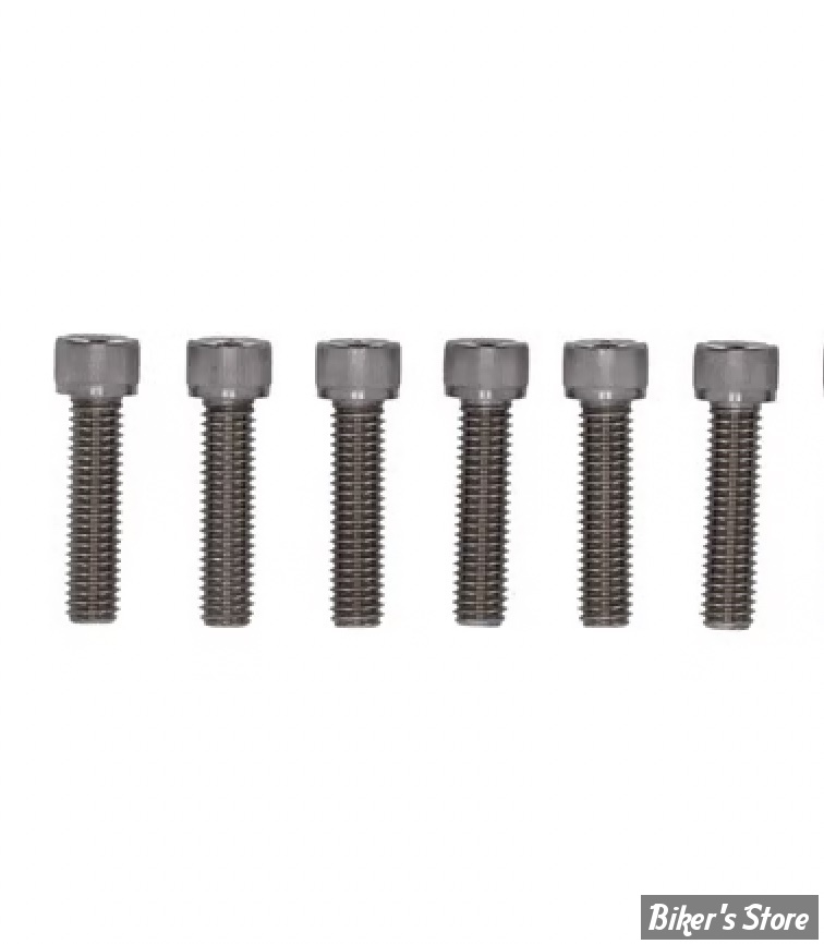 ECLATE N - PIECE N° 20 - KIT VISSERIE DE TES DE FOURCHE - OEM 4352 - SPORTSTER 04/20 - SCREWS4BIKES - INOX POLI - 6 VIS - GK.HD.5.va