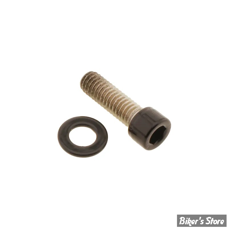 VIS DE PROTÈGE-COURROIE - OEM 2708A / 6702 - SPORTSTER 04/22 - NOIR BRILLANT - RS.HD.1.sw